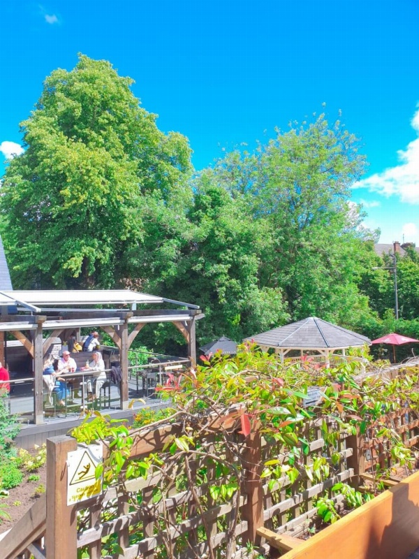 Number 10 Hotel image 6